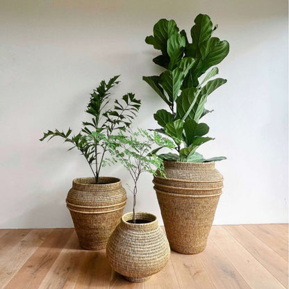 Handwoven Lutindzi Grass Urn